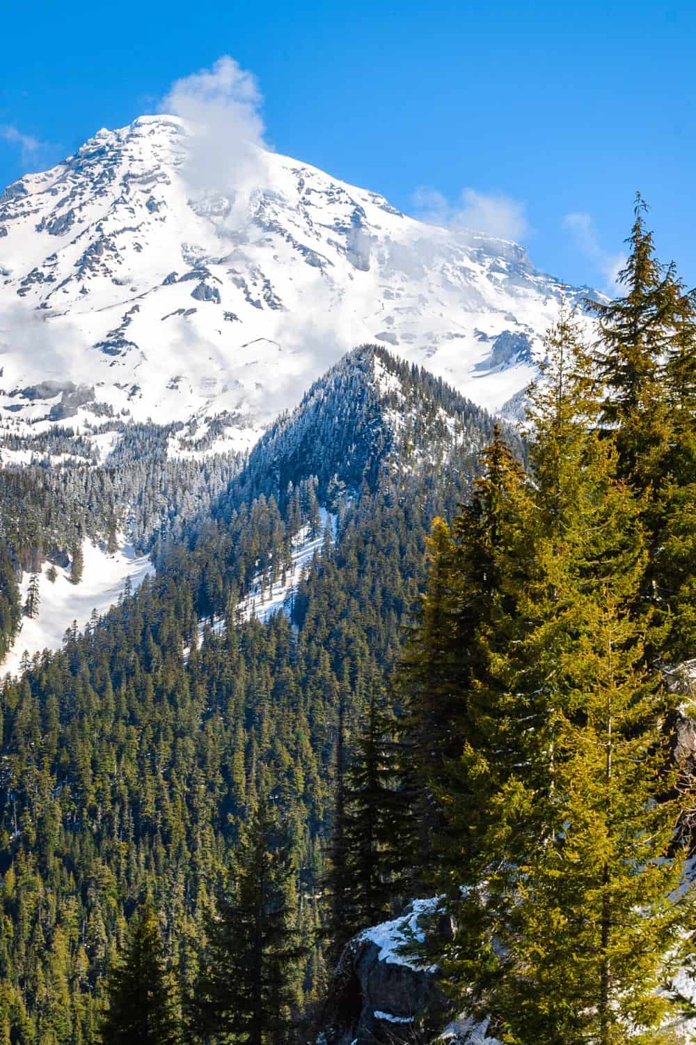 12 Things To Do In Mount Rainier National Park