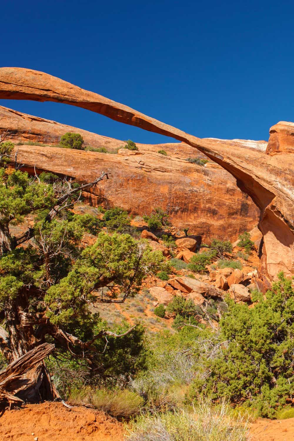 Arches National Park Landscape Arch