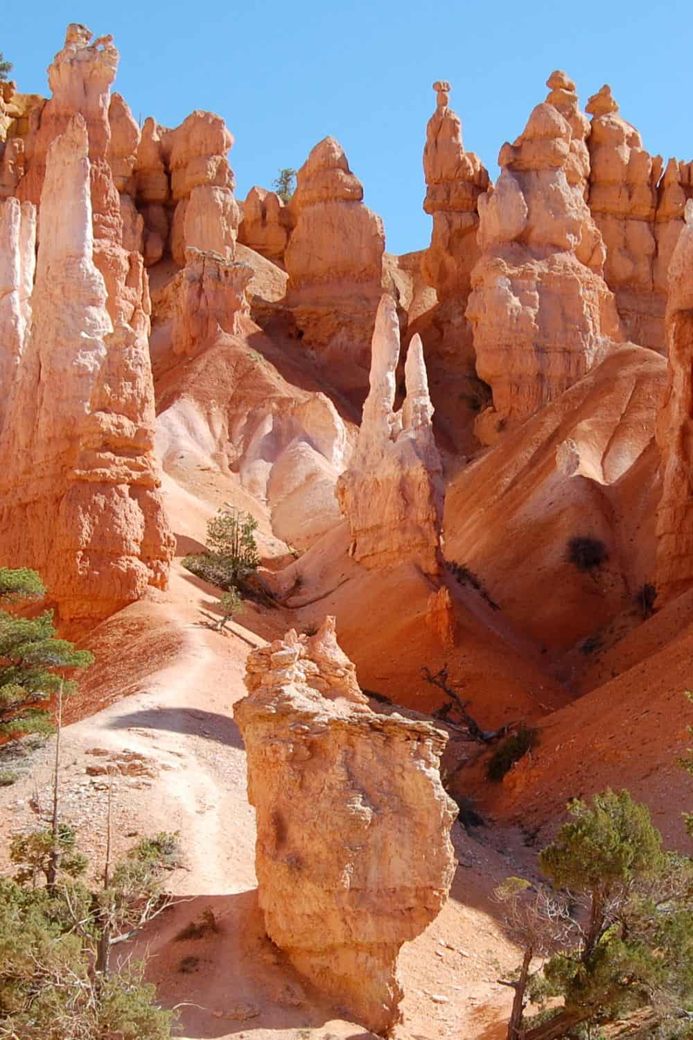 Bryce Canyon National Park Park Info