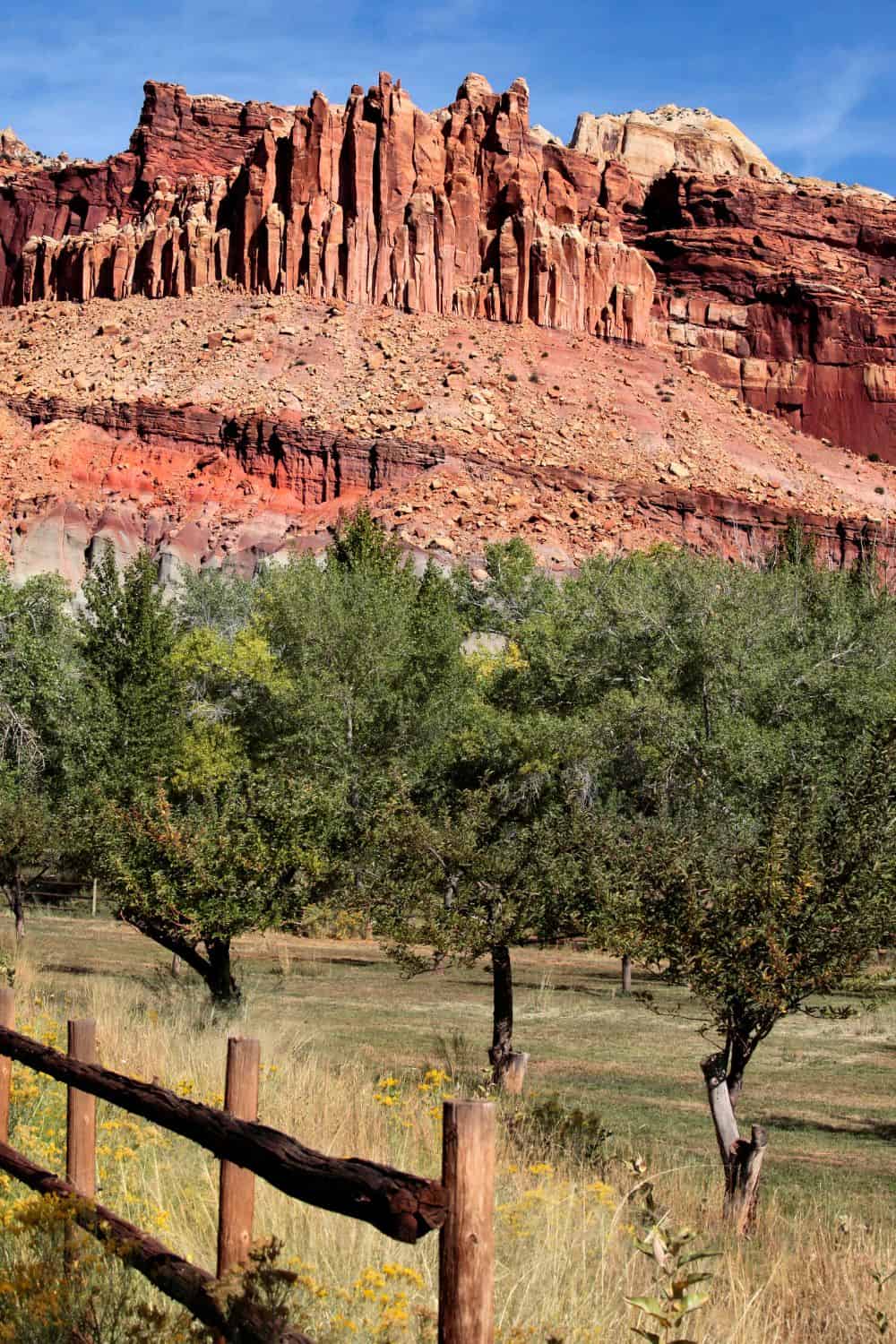 Capitol Reef National Park Orchards