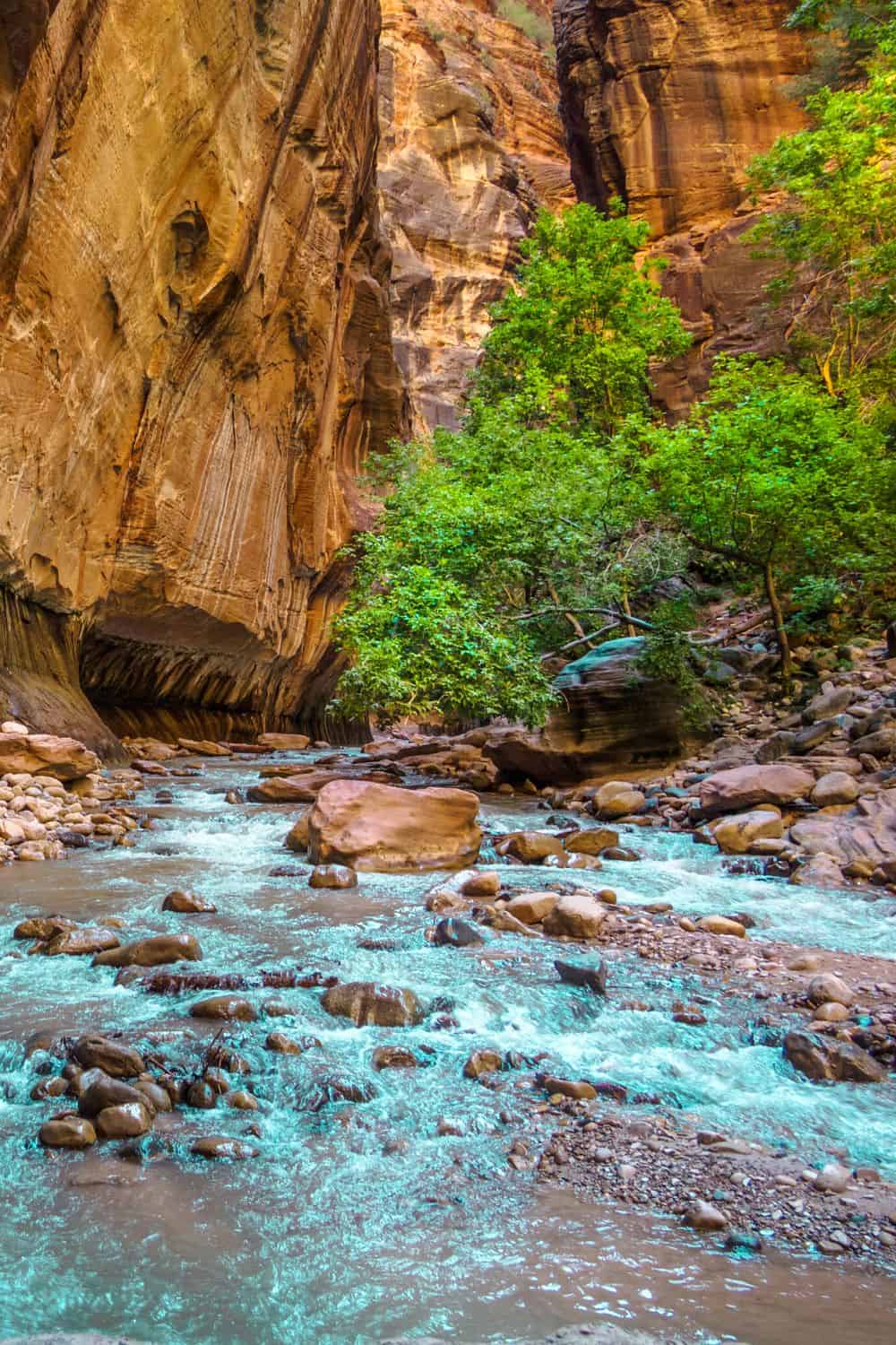 Learn About The Narrows In Zion National Park