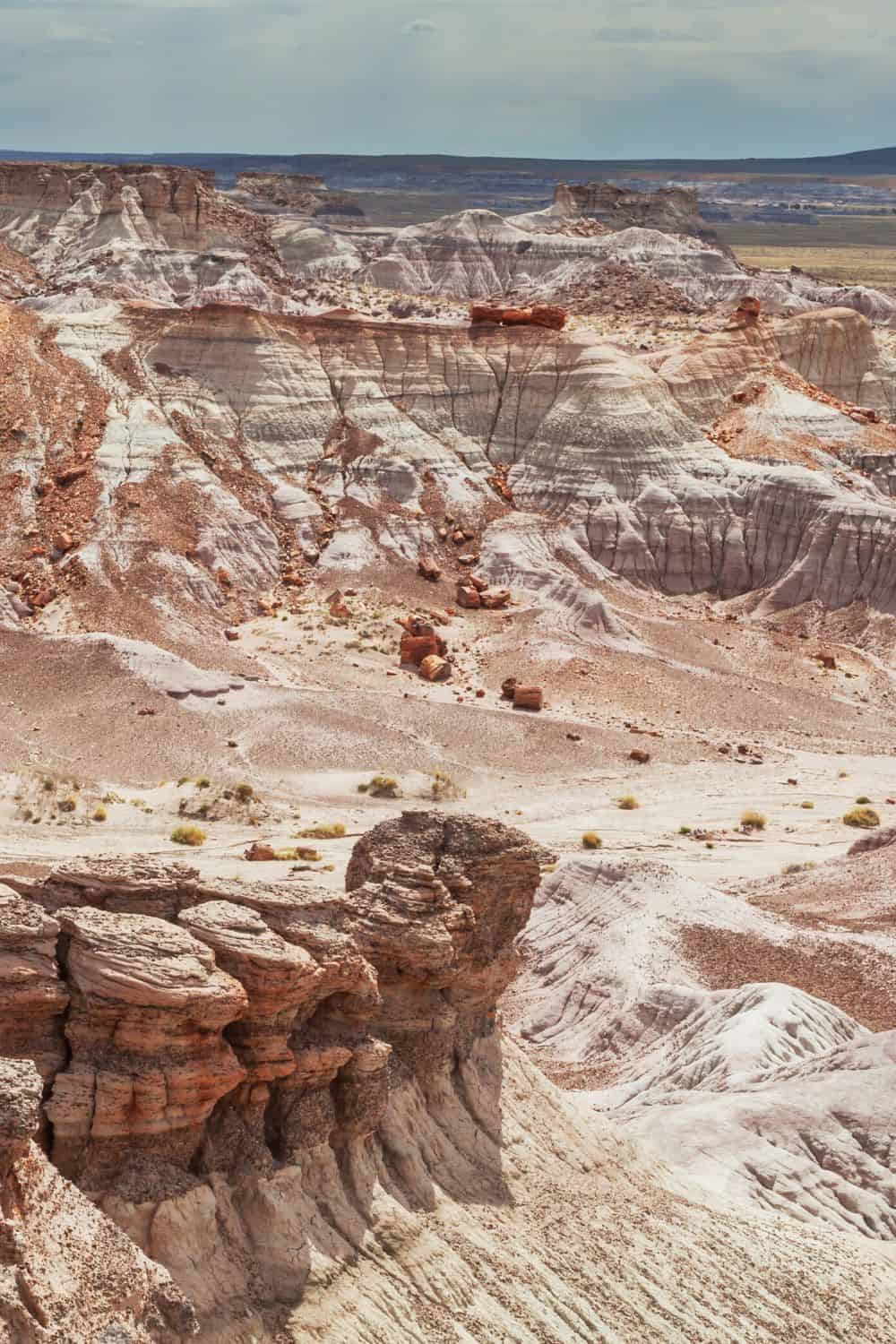 Petrified Forest National Park Backcountry