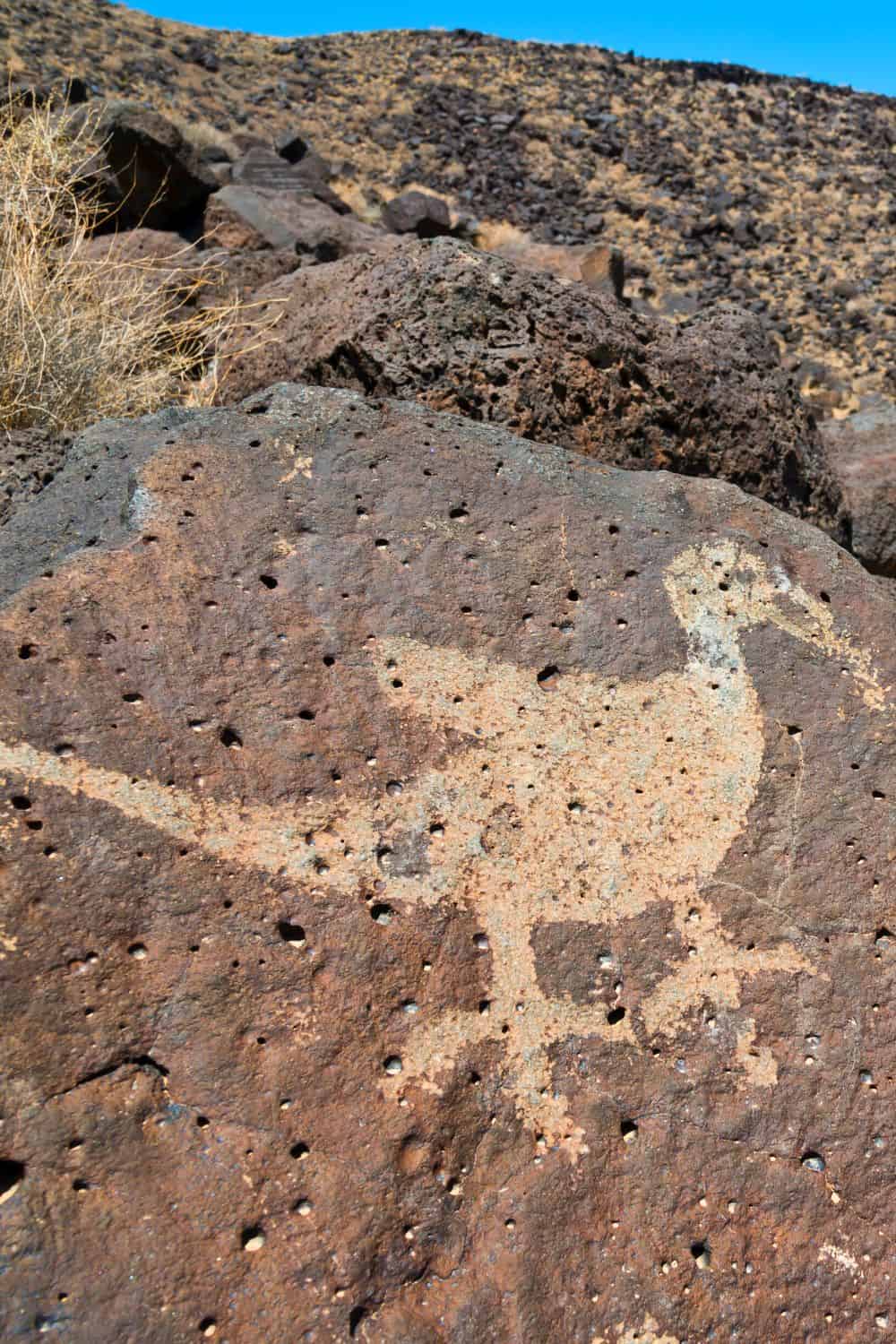 Petroglyph National Monument