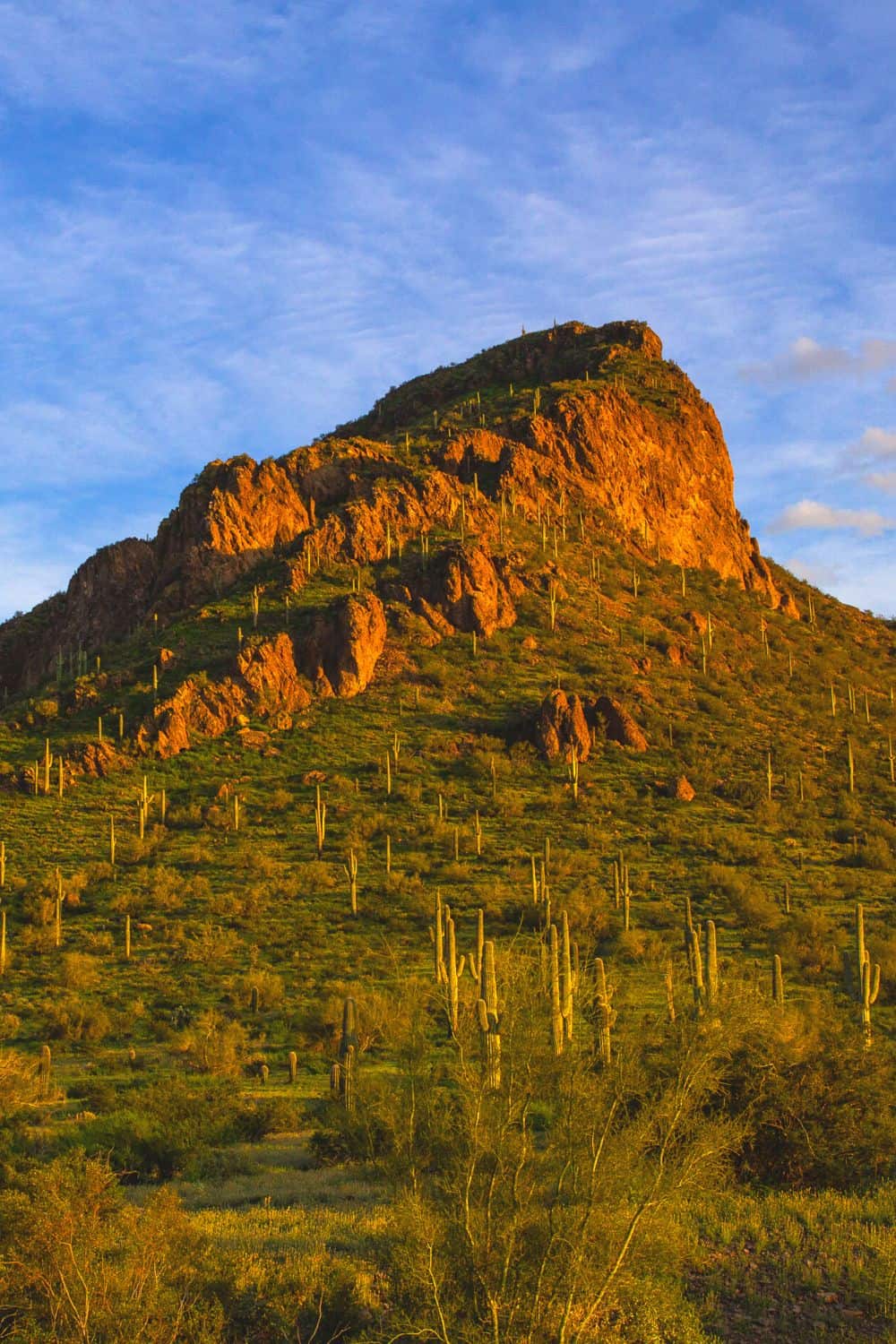 Picacho Peak Wilderness