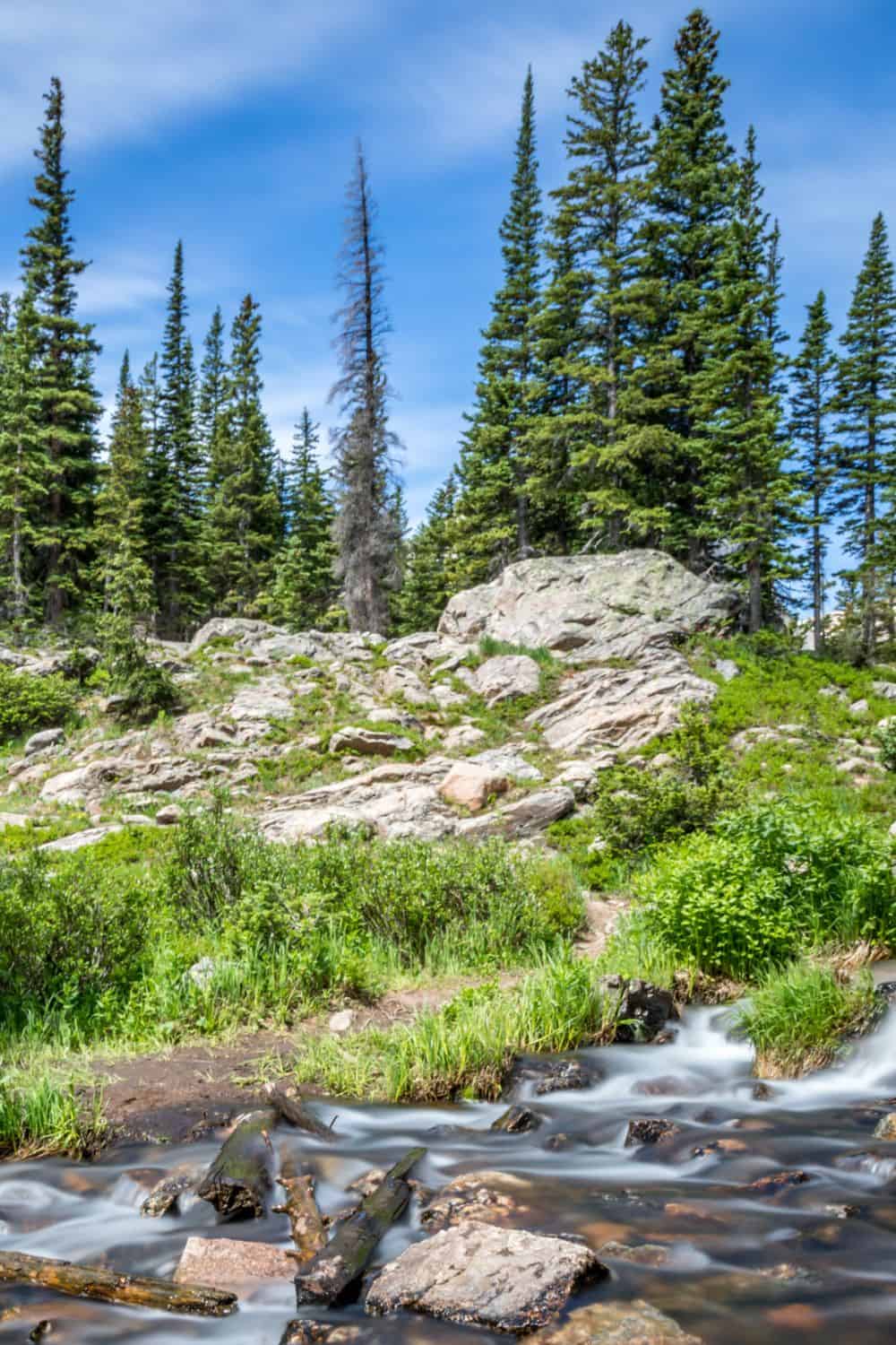 Rocky Mountain National Park Ecosystem