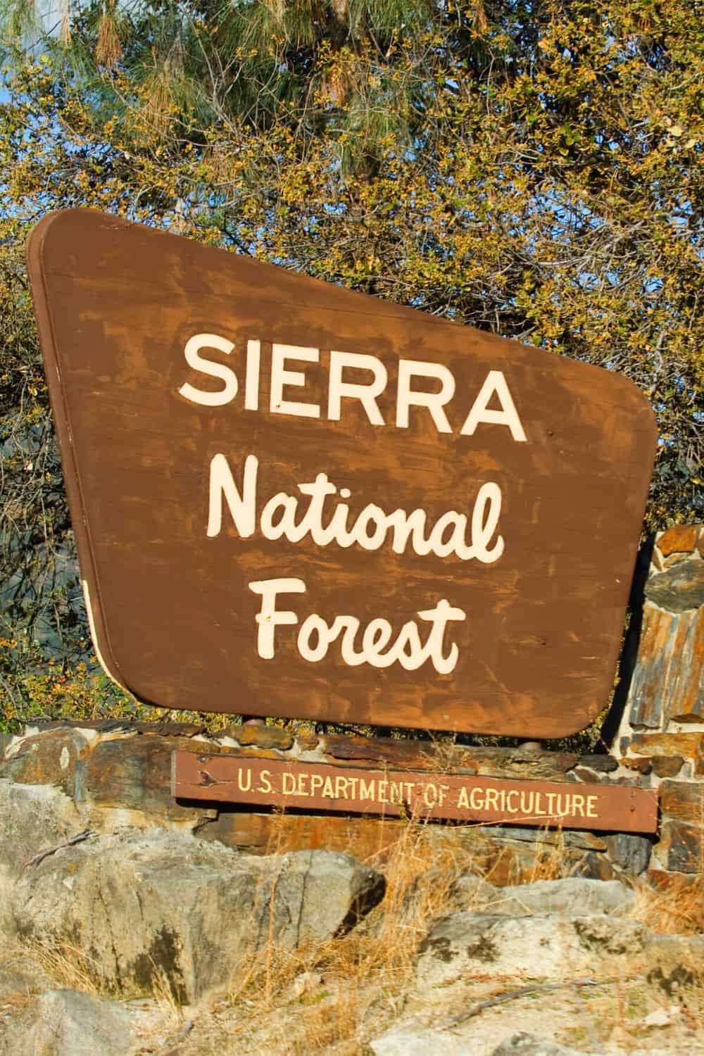 Sierra National Forest