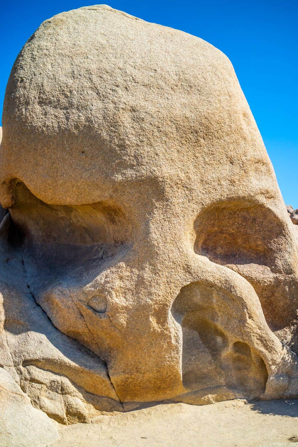 Skull Rock In Joshua Tree National Park