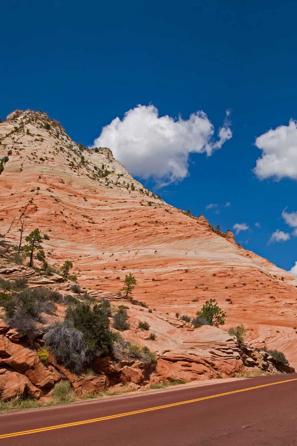 Zion National Park Highlights