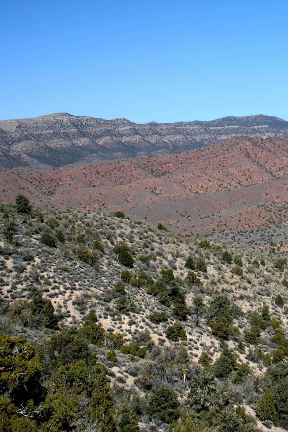 Lovell Canyon Road Nevada