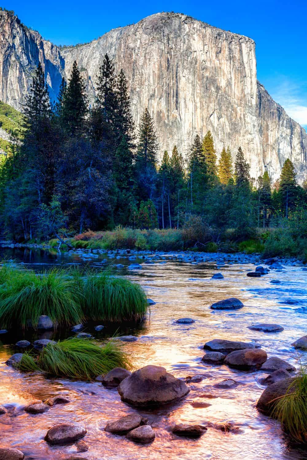 Staying Safe In Yosemite National Park