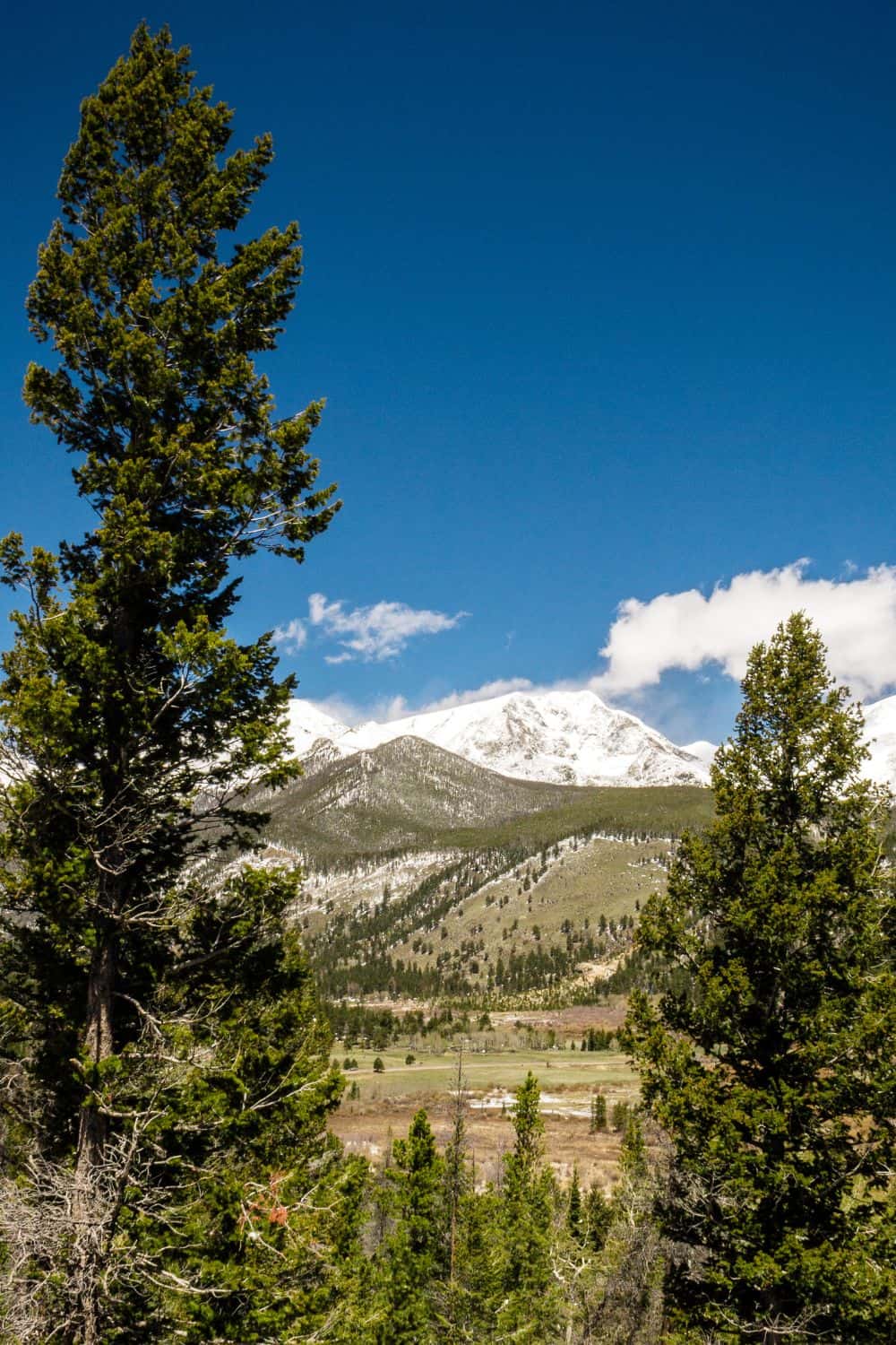 What to Do In Rocky Mountain National Park