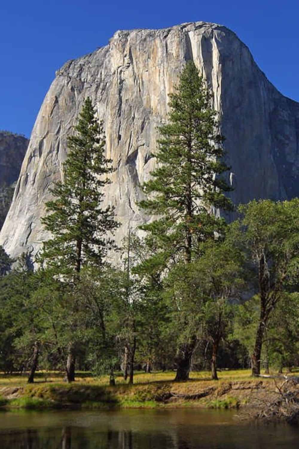 Yosemite Creek Campground